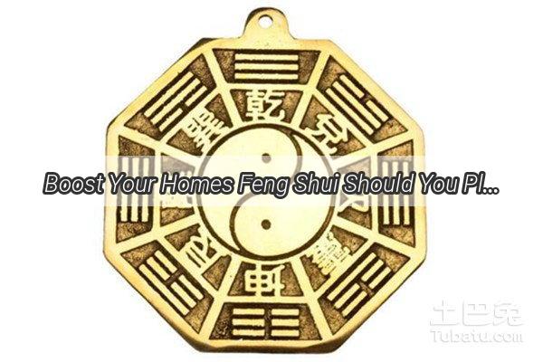 Boost Your Homes Feng Shui Should You Place a Gourd by the Window